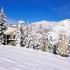 Timberline Condominiums property information