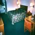 Opelika Knights Inn property information