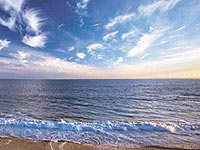 Seacliff Laguna Inn property photo