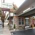Cedar Lodge Motor Inn property information
