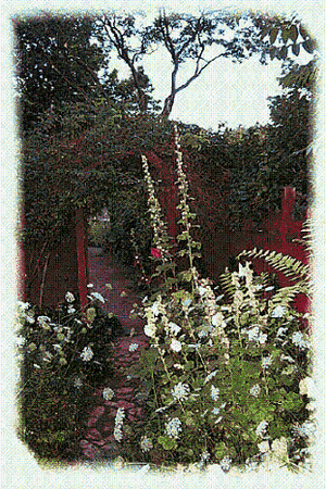 THE GARDEN COTTAGE BED AND BREAKFAST property photo