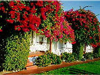 Beachcomer Motel property photo