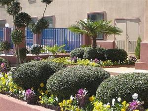 Comfort Inn Henderson property photo