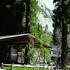 Yosemite Lodge at the Falls property information