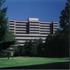 Hilton Woodbridge property information
