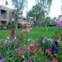 Shadow Mountain Resort and Club property information