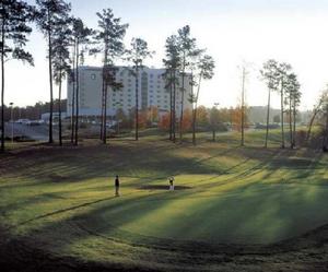 Embassy Suites Greenville Golf Resort  Conference Center property photo