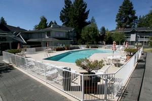 BEST WESTERN PLUS Timber Cove Lodge property photo
