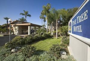 BEST WESTERN Pine Tree Motel property photo