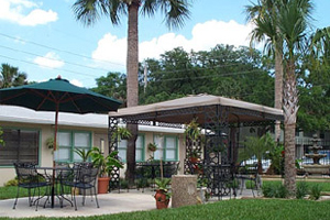 The Palms Retro property photo