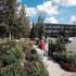 Wedgewood Resort property information