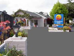 Comfort Inn Munras property photo