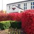 Hampton Inn Lexington  Georgetown I75 property information
