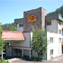 Red Wolf Lodge at Squaw Valley Condos property information