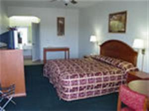 La Copa Alamo property photo