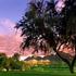 Renaissance Esmeralda Indian Wells Resort & Spa property information