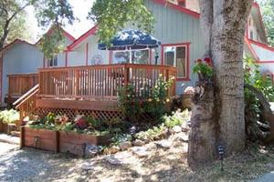 Little Valley Inn property photo