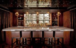The Waldorf Astoria Chicago (formerly Elysian Hotel) property photo