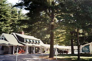 White Trellis Motel property photo