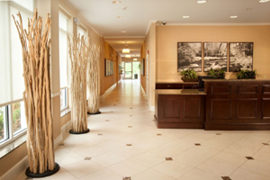 Hilton Garden Inn St. Louis Airport property photo