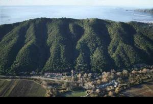 Sycamore Mineral Springs Resort property photo