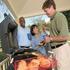 Candlewood Suites LAKEWOOD property information