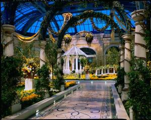 Bellagio Towers property photo
