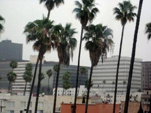 Shelter Hotel Los Angeles property photo
