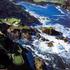 Holiday Inn Express Hotel & Suites MARINA property information