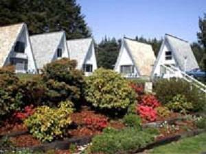 Alpine Chalet property photo