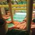 Embassy Suites Orlando  International DriveJamaican Court property information