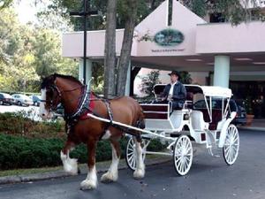 Hilton Ocala property photo