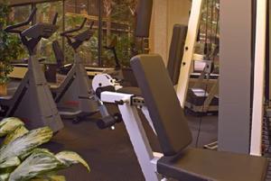 Sheraton Safari Hotel & Suites Lake Buena Vista property photo